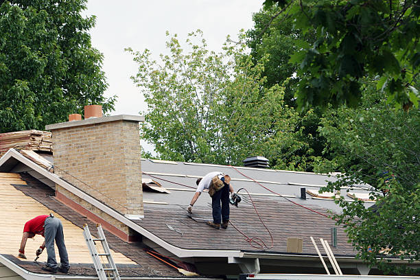 Best Roof Gutter Cleaning  in Reynoldsburg, OH